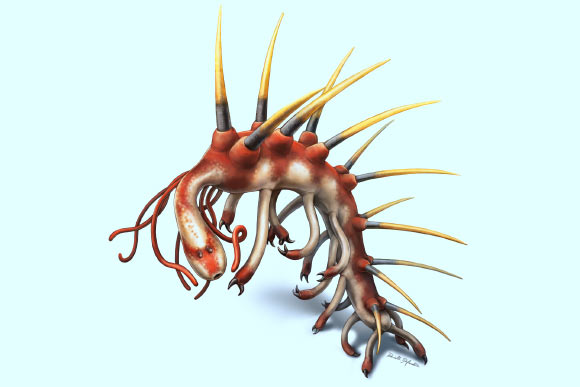 Hallucigenia: Weirdest animal you will ever see