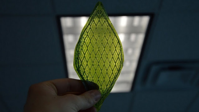 First Synthetic biological leaf