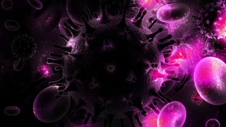 The human immunodeficiency virus (HIV)