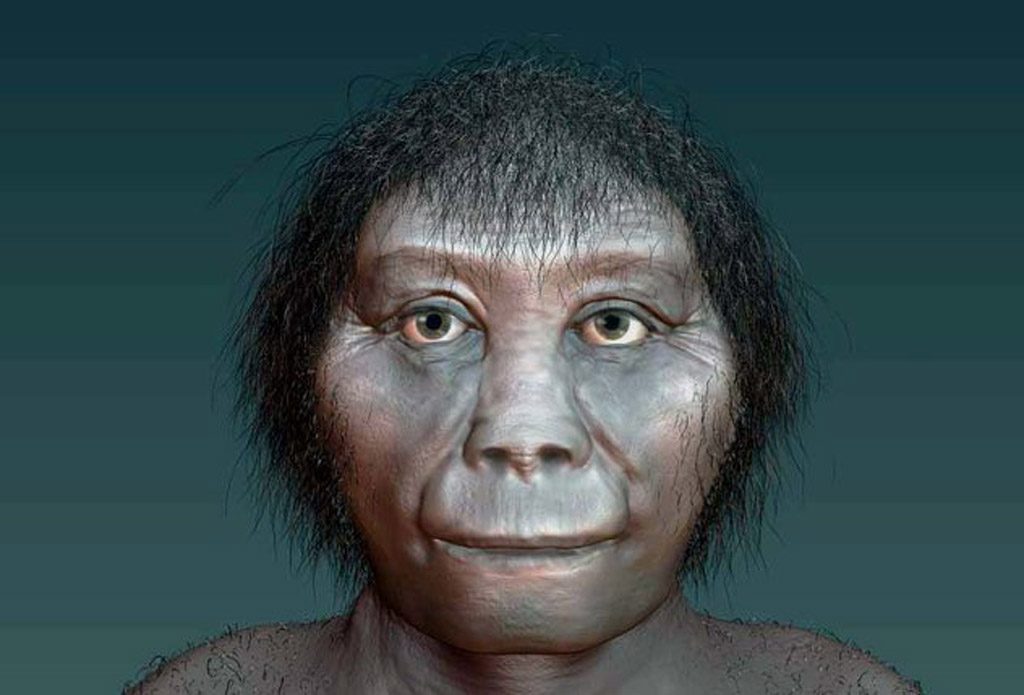Homo floresiensis,hobbit