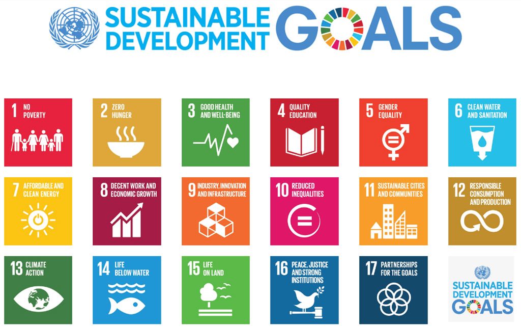United Nations Sustainable Development Goals SDGs